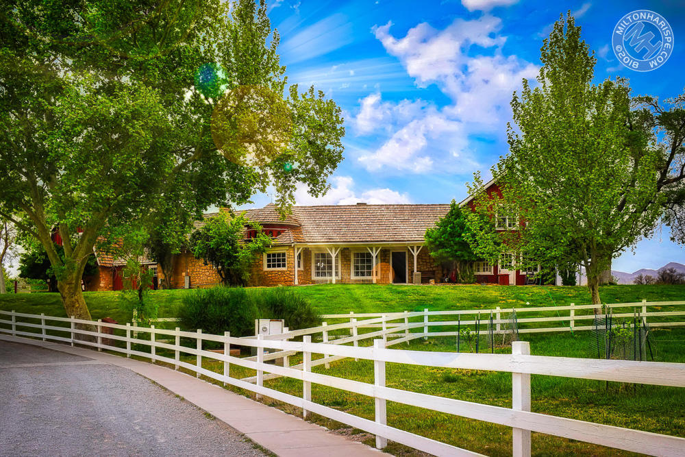 DSC_0134-Edit copy-2-Edit.jpg